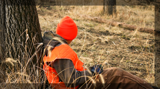 Hunt and Stalking Techniques in Colorado